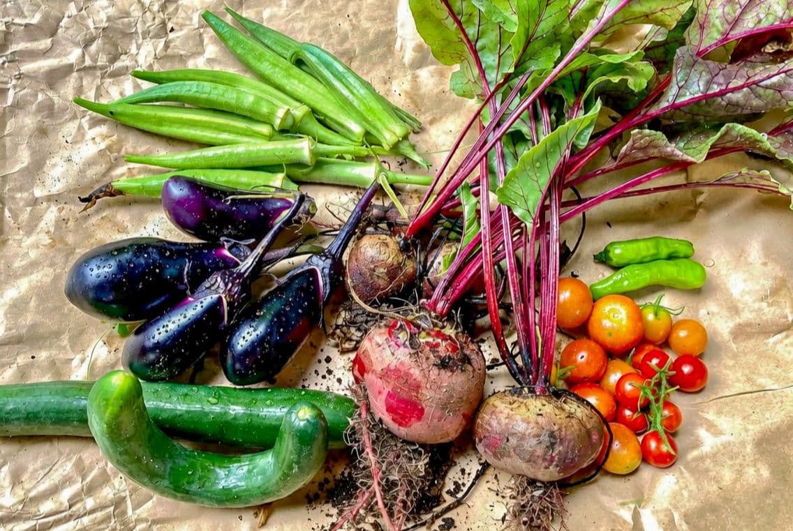 fresh vegetables